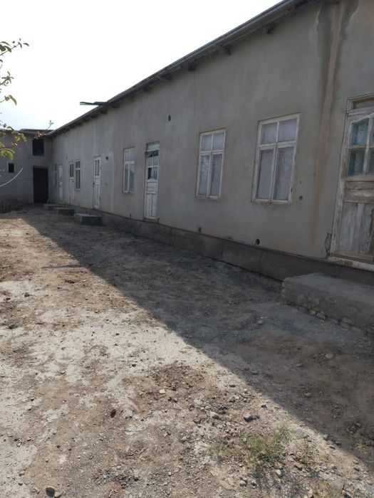 Sharq kochasi zonani yonida