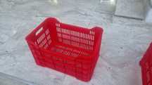 Vând lăzi plastic noi pentru struguri fructe&legume