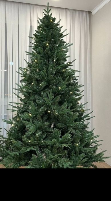 Новогодняя Ёлка, Ель, Шырша