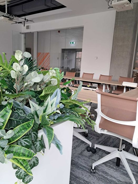 Amenajari spatii de birouri cu plante naturale si artificiale
