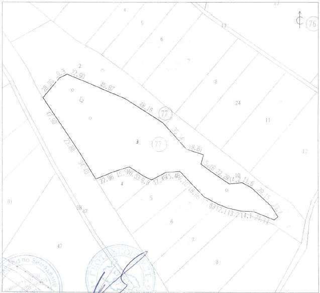 Парцел 077003 на главен път Е79 до с. Сумер между Враца и Монта