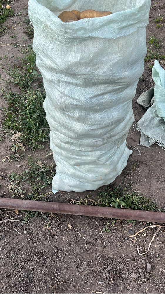 Продам картошкуу