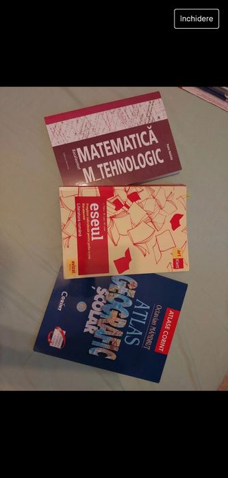 Materiale pentru bac (română, mate și geografie)