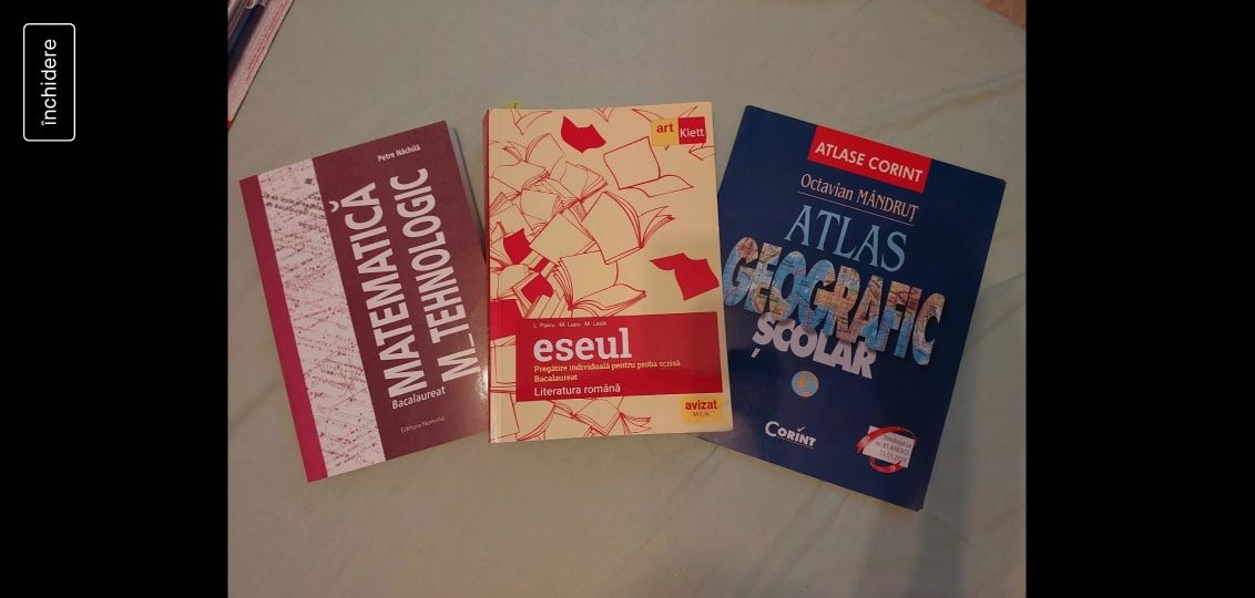 Materiale pentru bac (română, mate și geografie)