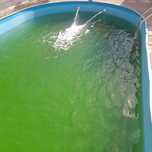 Servicii intretinere piscina/jacuzzi