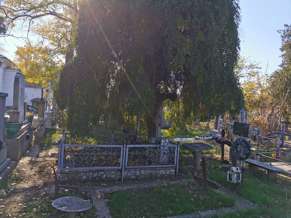 Vând loc de veci în cimitirul Eternitatea