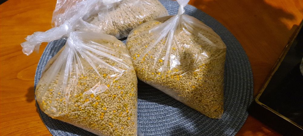 Polen albine,  paducel 2025 crud