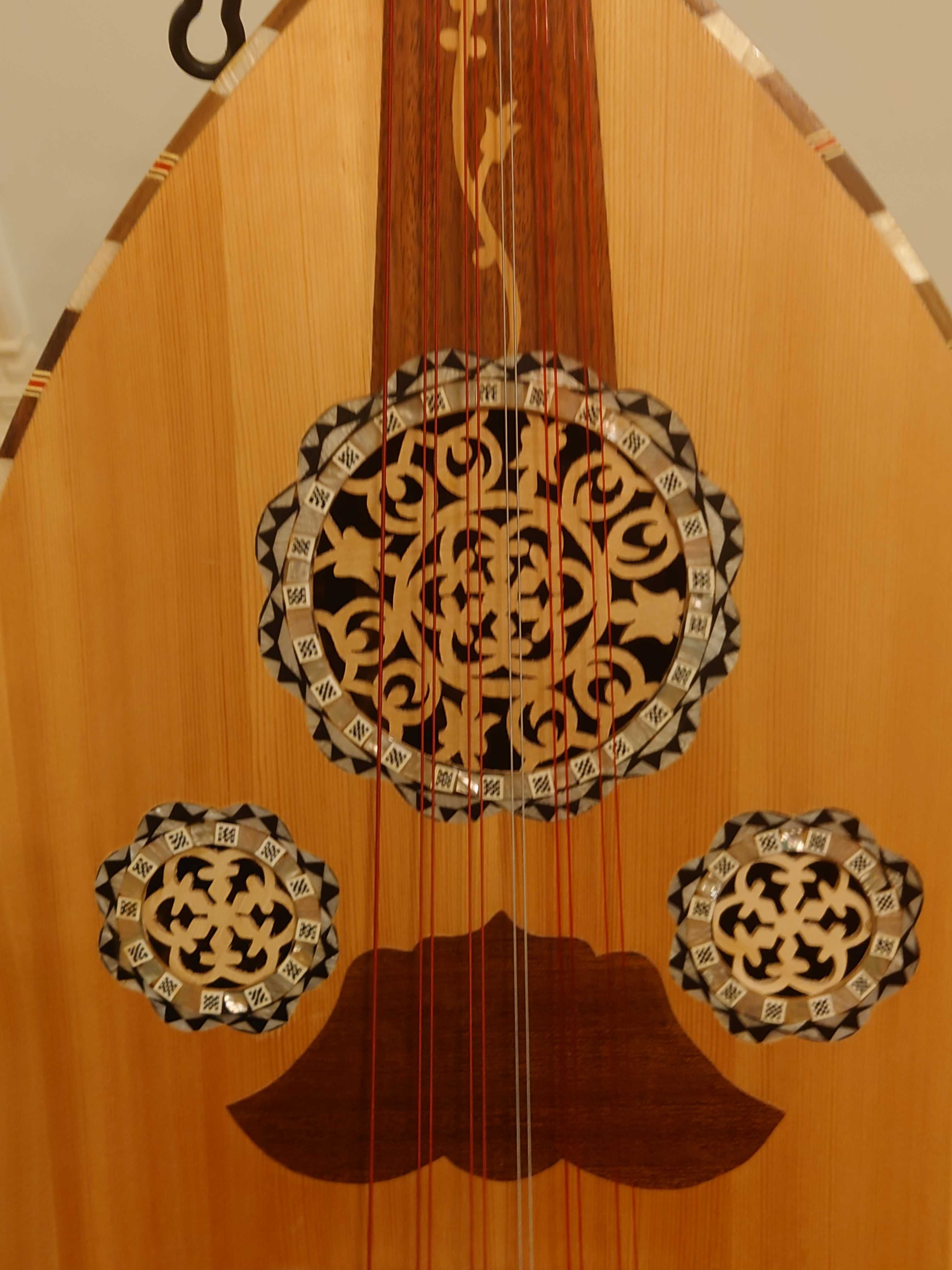 Arabic professional musician oud