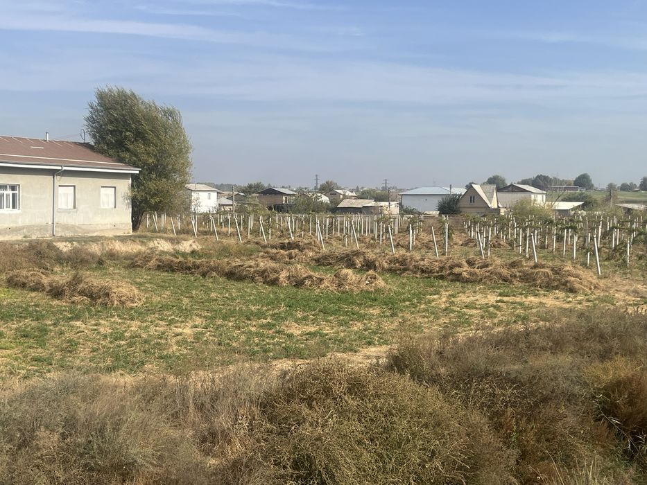 Клевер Беда Хашак Сено