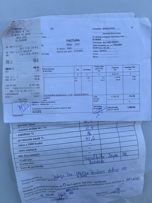 Grau toamna de samanta C2