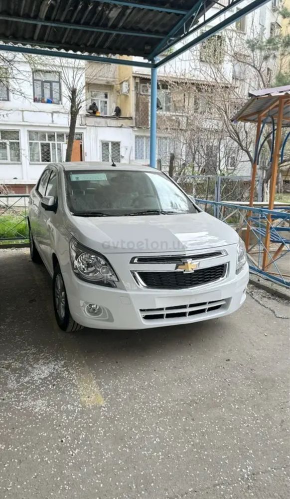 cobalt 2025 stayl masla