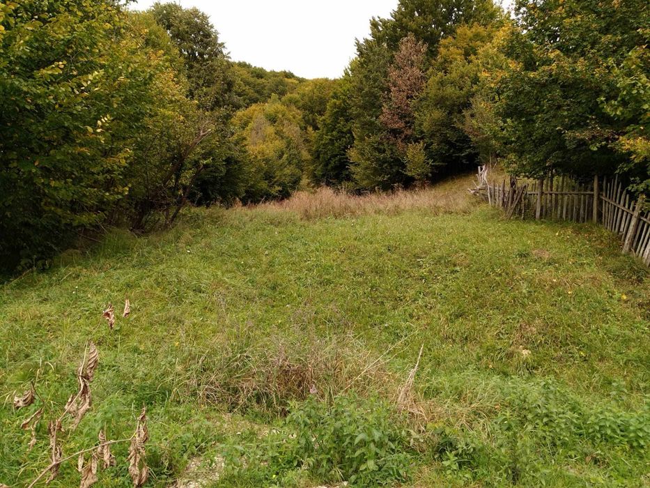 Teren de vanzare Slanic Moldova