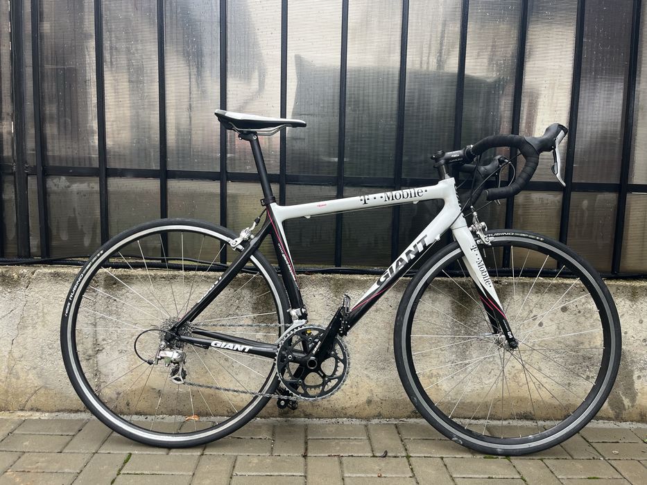 Cursiera carbon Giant TCR