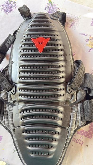 Protectie coloana moto Dainese