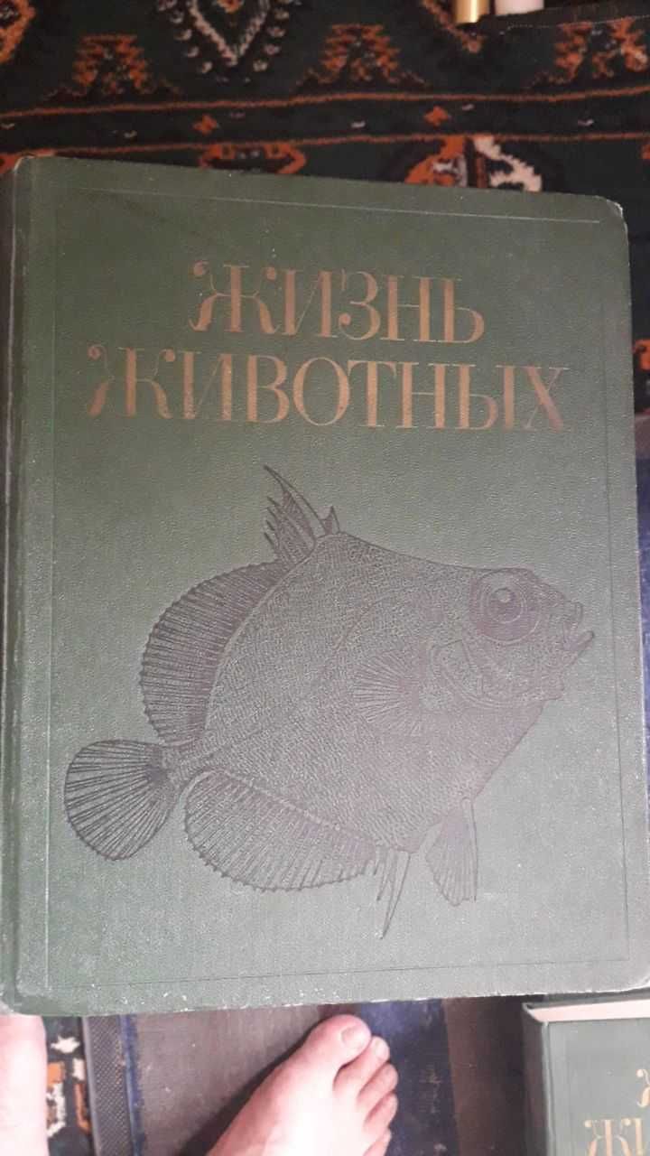 Узбекистон энциклопедияси. Жизнь животных