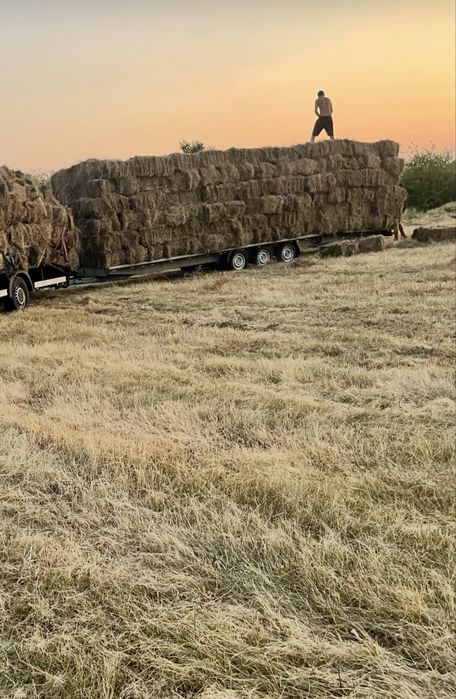 Baloti de miriste cosita si de coceni