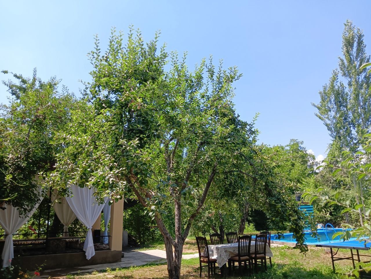 Dacha Burchimulla