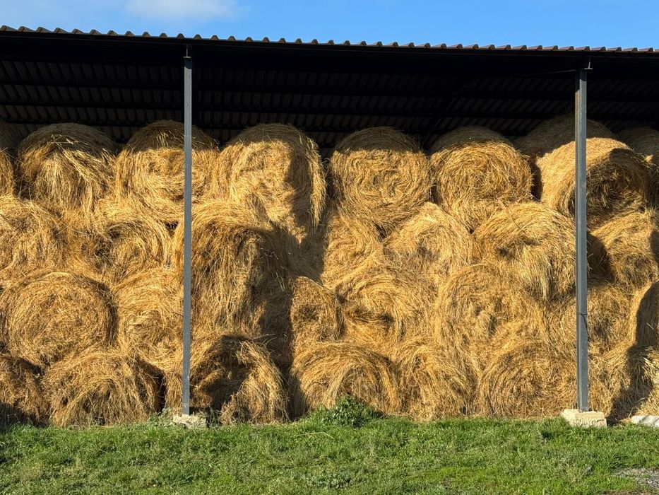 Baloti fan și lucernă