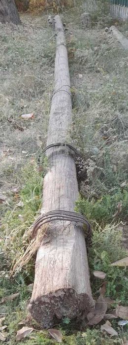 Продам деревянные столбы, бывшие линии электропередачи.