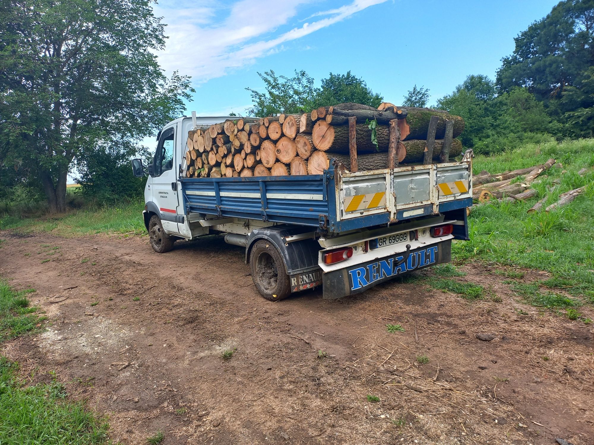 Lemne De Foc. Ilfov-Bucuresti-Giurgiu