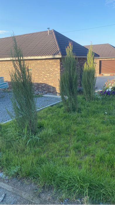 Благоустройство и озеленение