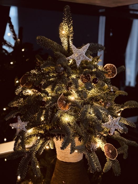 Bradut de Craciun/ aranjament Craciun