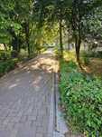 Vand apartament 3 camere