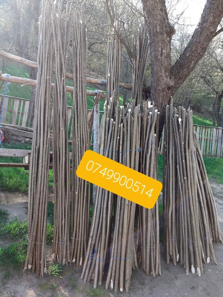 Pari de fasole și de roșii doi lei bucata