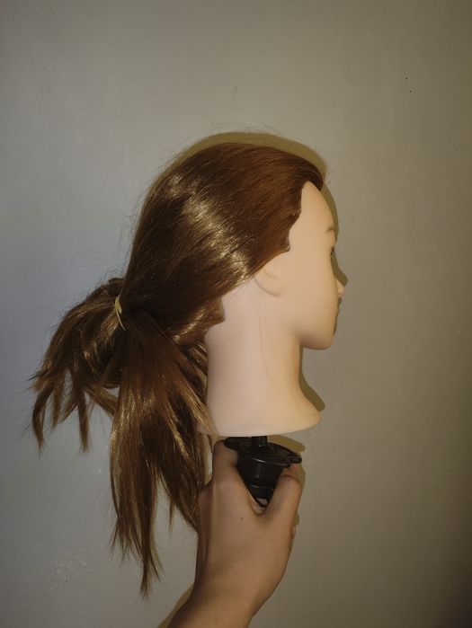 Bosh salonchilar uchun