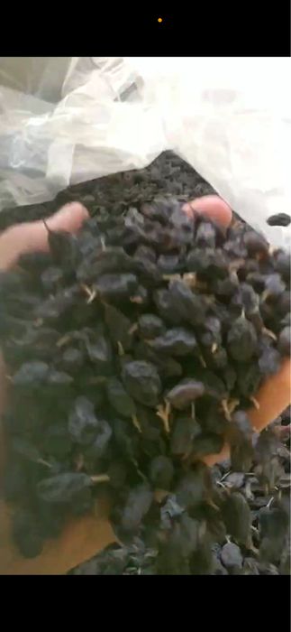 Mayiz sotiladi. Qora kishmish, osh mayiz. Soyaki mayiz