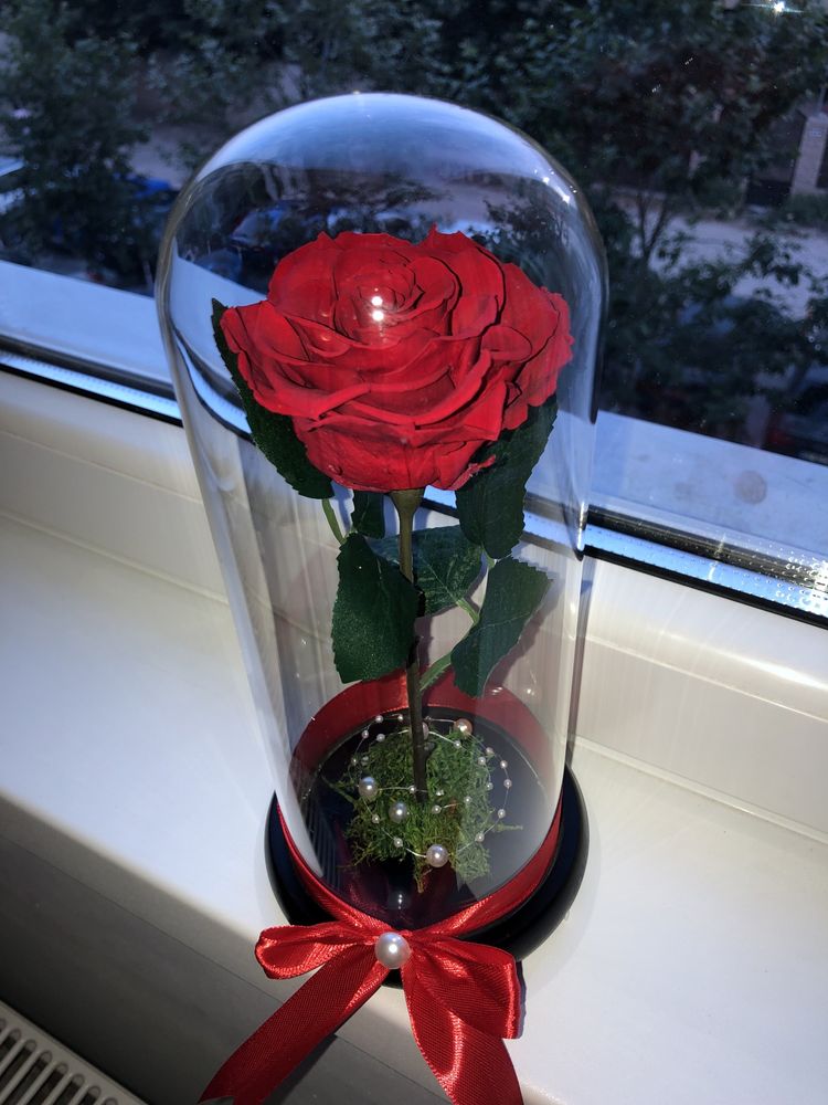 Trandafir rosu in cupola 25 cm 150 lei