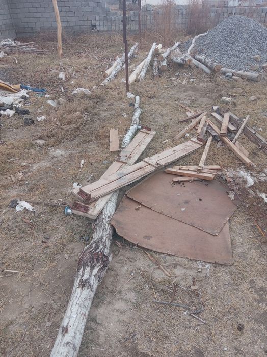 Terak sotiladi o'tin qilsa ham bo'ladi