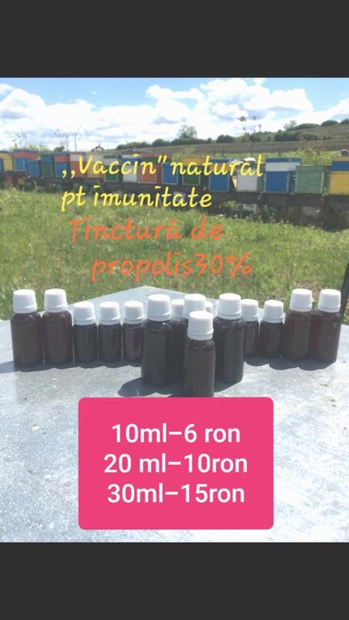 Miere salcam,miere poliflora,miere rapita,tinctura propolis,albine