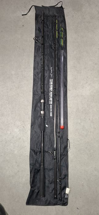 Lanseta feeder Team Feeder Master Carp Pro 3.60m/30-100g