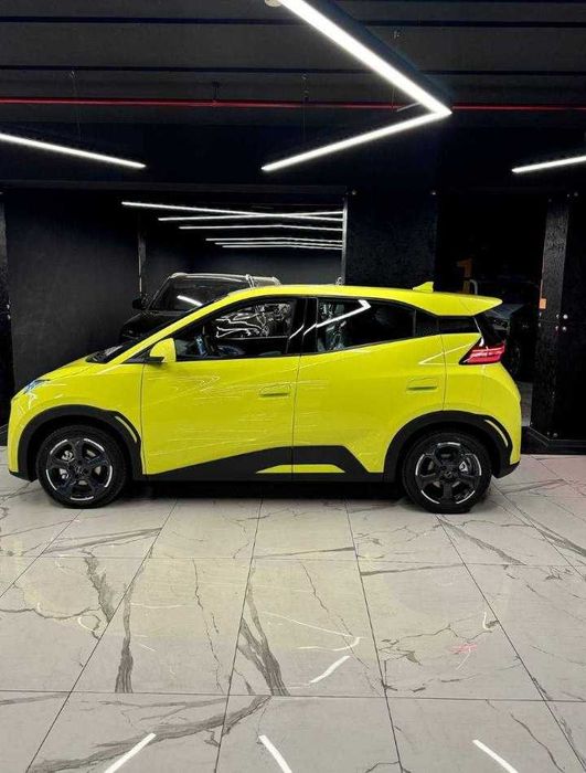 Byd Seagull naqd va halol nasiyaga