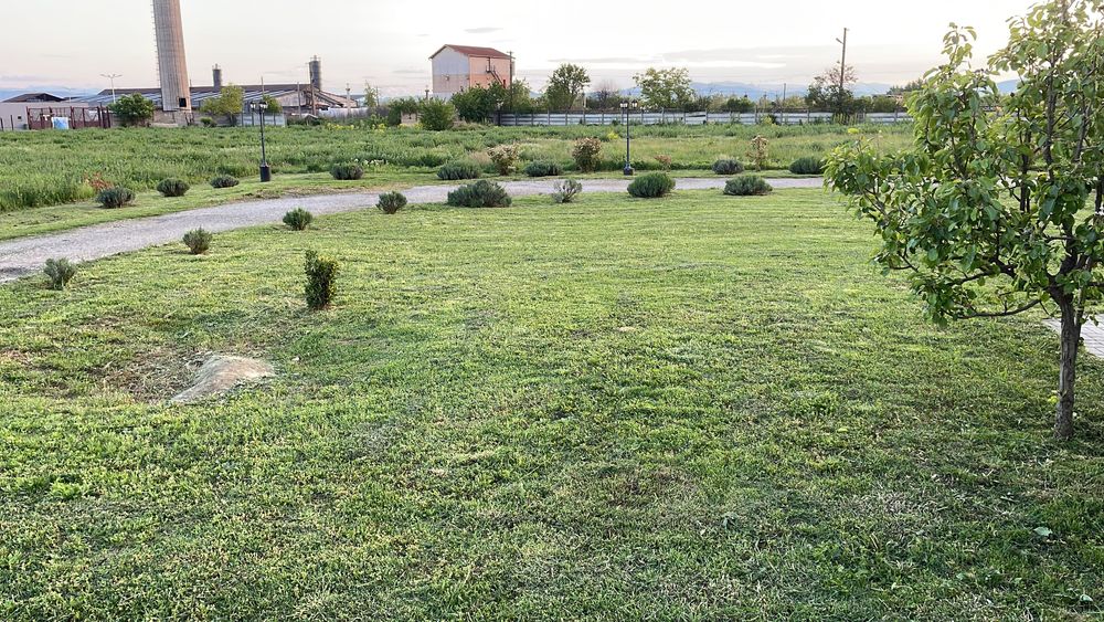 Teren și hală de închiriat Teiuș ,Jud Alba , langa Autostrada