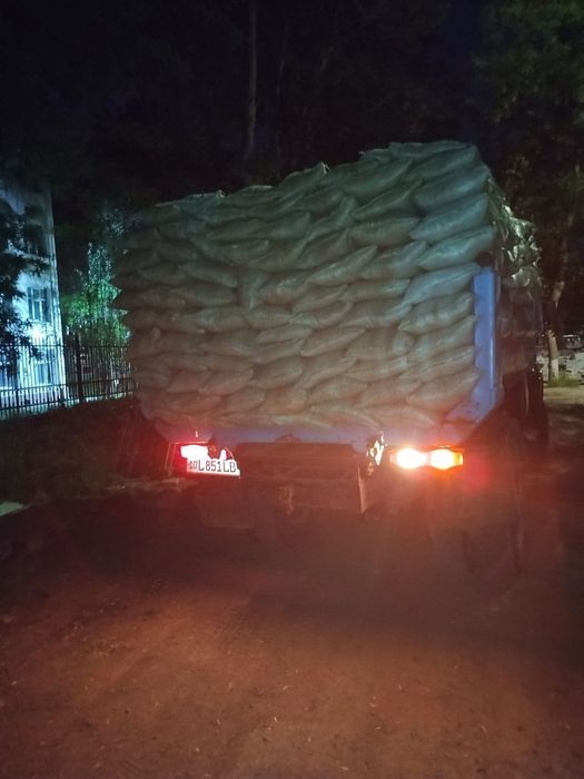 гумус gumus газон