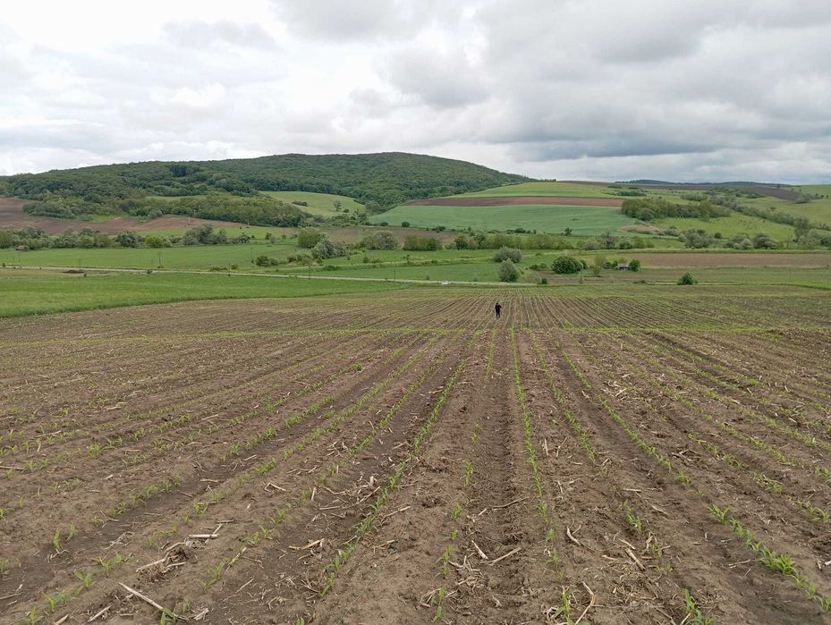 Vand teren arabil si pasunat la 1 km de Agnita Sibiu