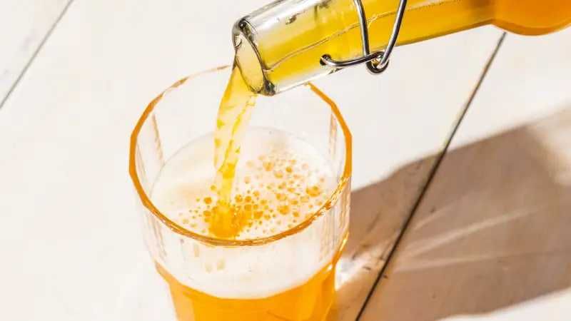 Kombucha - kit starter