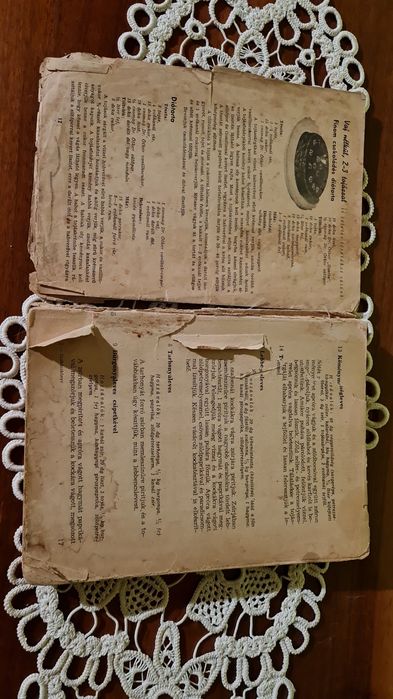 Szmuk Iren " 1006 etelrecept egessegeseknek es betegeknek (1006 retete