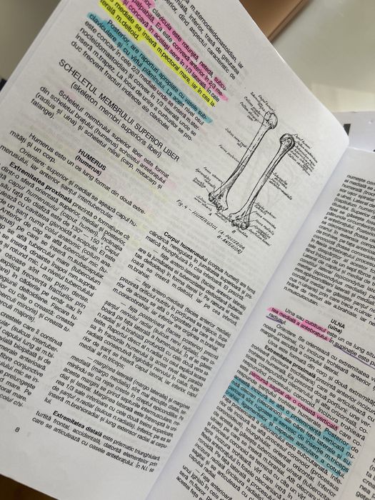 Anatomia Omului- Viorel Ranga