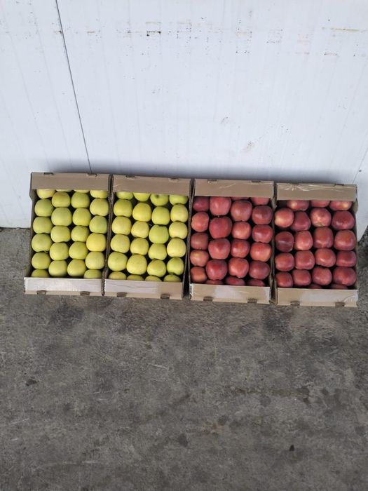 Яблоко свежее 1 сорт, урожай 2025г