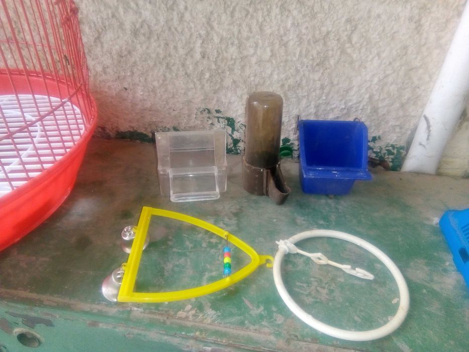 Colivie pasari cu accesorii