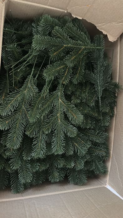 Crengute brad 40 buc