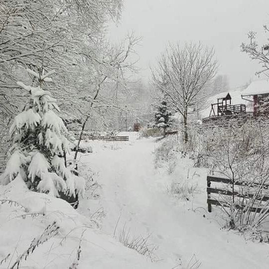 Cabana Apuseni Cluj