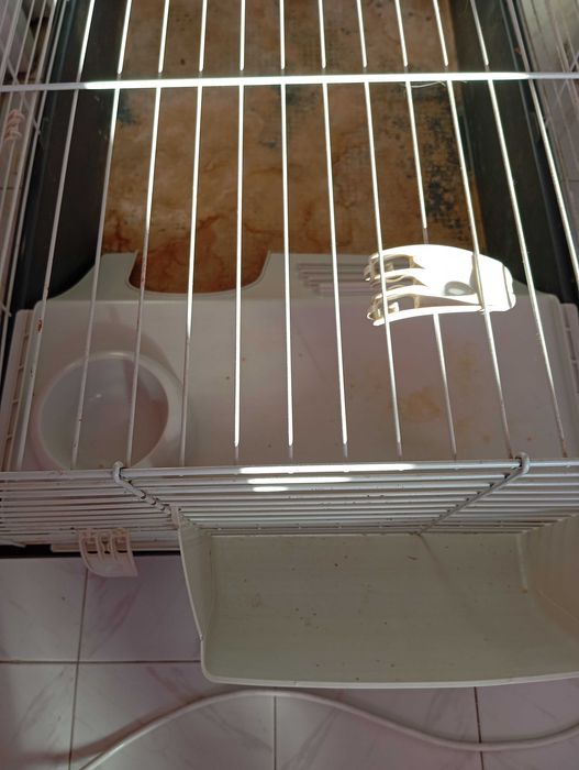 Клетки за гризачи