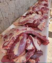 Мясо говядина, жиликами, своё откорм К/х #Анжан#