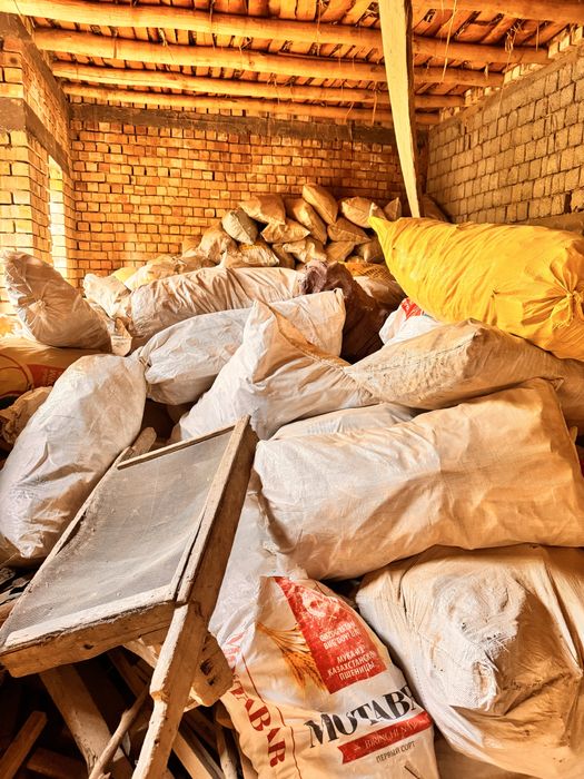 Oʻtin otin Ўтин.