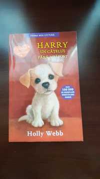 Harry un cățeluş fără adăpost (carte pentru copii)