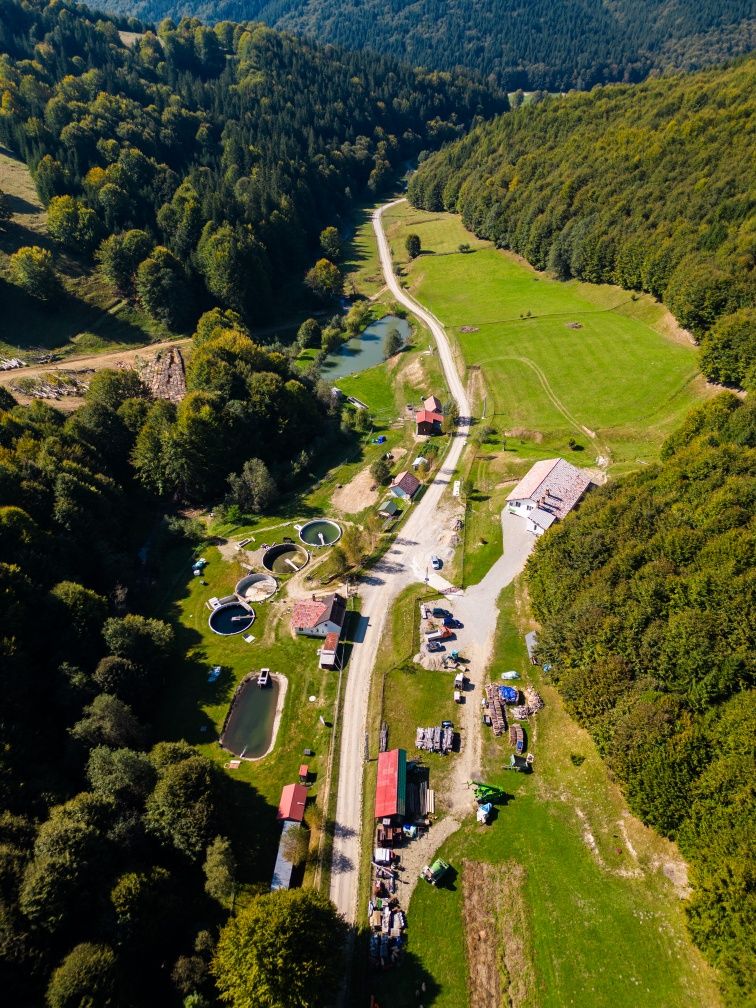 Pastravarie,lac de pescuit,Oportunitate, activutate,casa de vacanta, ,